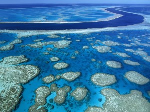 grande barriere de corail australie