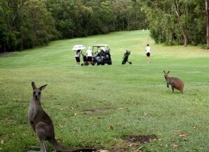 Golf_Nelson_Bay_Golf_Club-Port Stephens