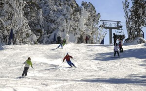 thredbo ski